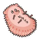 木野花（ひらんこ）