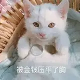 Sukawonton!